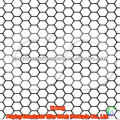 BWG25 malla de alambre hexagonal de pollo galvanizado en caliente